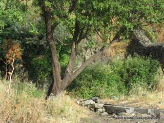 lto del Pecoraio30-05-2014 18-08-18